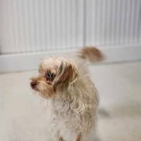 Photo of 🥐 Sandy 6064 🥐