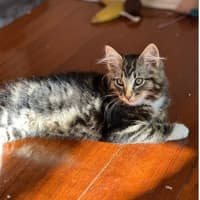 Photo of Edmond