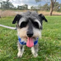 Photo of Ruth And Remi