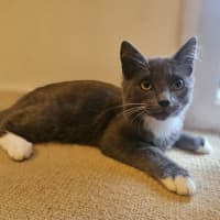 Photo of Wilbur