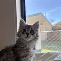 Photo of Milo