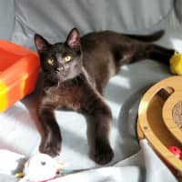 Photo of Izzy