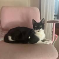 Photo of Nova