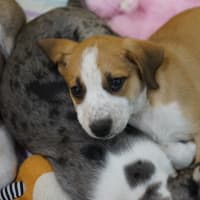 Photo of Bundy