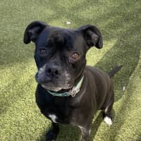 Photo of Xena