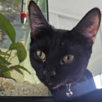 Photo of Molly