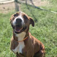 Photo of Ralph