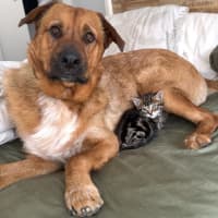 Photo of Milford 💙