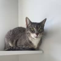 Photo of Atom And Sushi