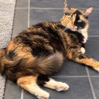 Photo of Isla