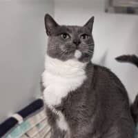 Photo of Blossom