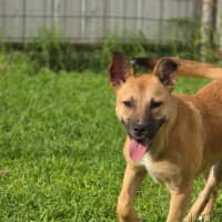 Photo of Caia