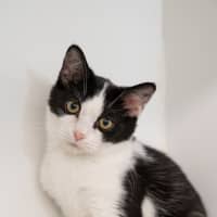 Photo of Steve