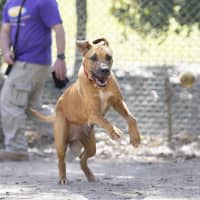 Photo of Dayna (Donya)