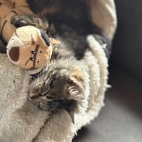 Photo of Larry 😻😻💙💙