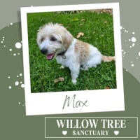 Photo of Max