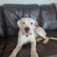 Photo of Molly
