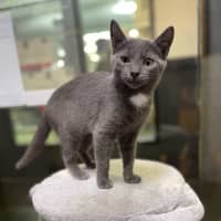 Photo of Indy