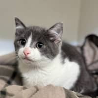 Photo of Theodore 