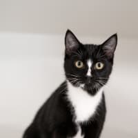 Photo of Bentley