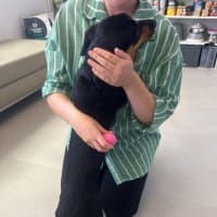 Photo of ✈ Jett 5687 ✈