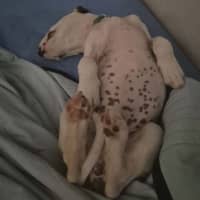 Photo of Jolly