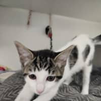 Photo of Windy