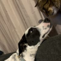 Photo of Jessie