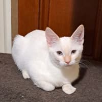 Photo of Frosty