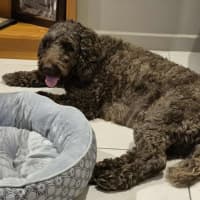 Photo of Missie