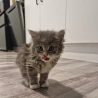 Photo of Tasha