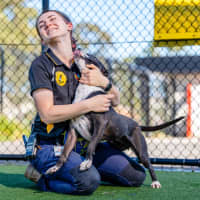 Photo of Nelly Imp 1404