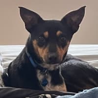 Photo of Winnie