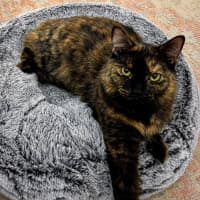 Photo of Mia