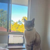 Photo of Bruce