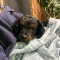 Photo of Bentley 