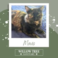 Photo of Mavis
