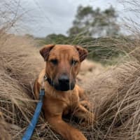 Photo of Axel
