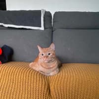 Photo of Biscuit And Raul 