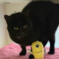 Photo of Matilda