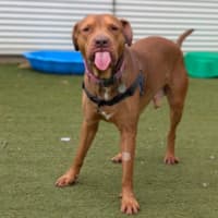 Photo of Spud