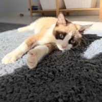 Photo of Toast