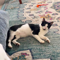 Photo of Boots