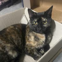 Photo of Kallie 🍃💕