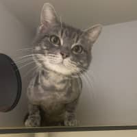 Photo of Kerby