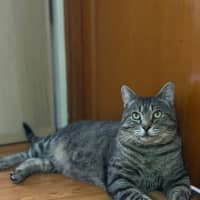 Photo of Tom