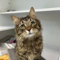 Photo of Wally
