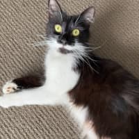 Photo of Polly
