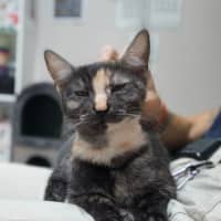 Photo of Miss Pink (0197)