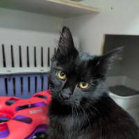 Photo of Liesl